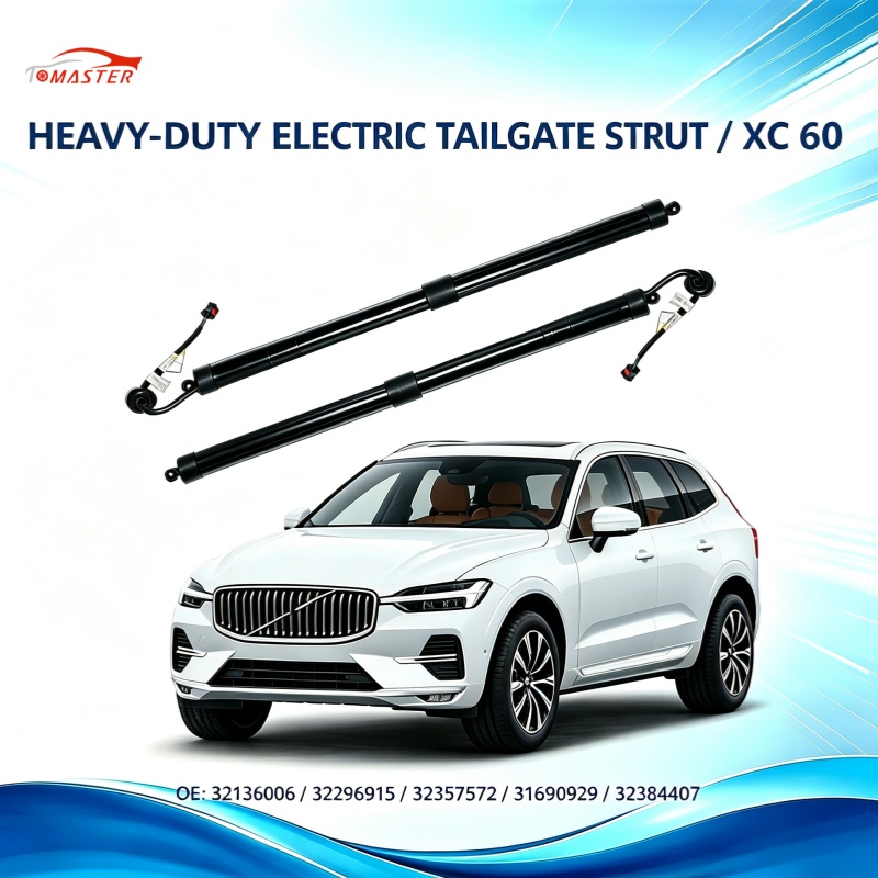 Why Are More Heavy-Duty Electric Tailgate Modification Companies Choosing TOMASTER?cid=2