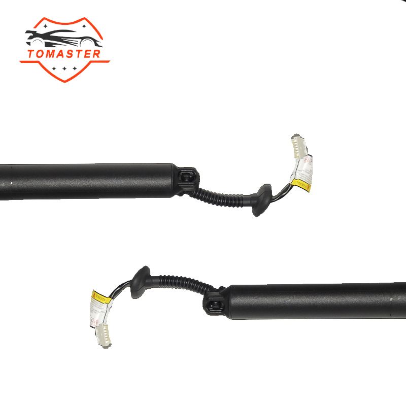 BMW X1 F48/F49 2014-2017 51247350837 Tailgate Power Strut