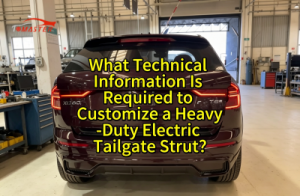 What Technical Information Is Required to Customize a Heavy-Duty Electric Tailgate Strut?